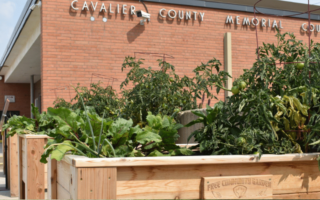 Cavalier County Social Services